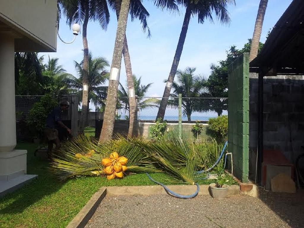 Hotel Janishi Residencies à Negombo Extérieur photo